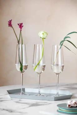 Rose Garden champagneglas 4-pack 29 cl, Transparant