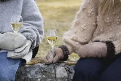 Saga champagneglas 2-pack, Transparant