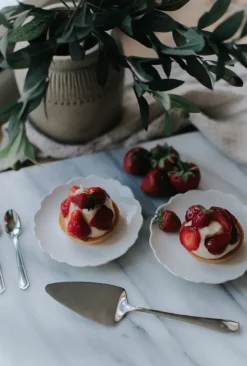 Sally taartschep 25 cm, Roestvrij staal