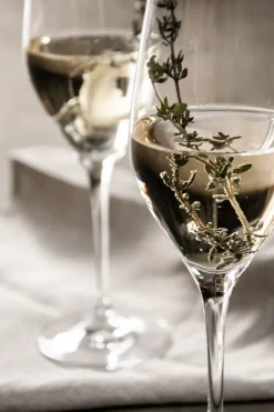 Sense champagneglas 25,5 cl 6-pack, Transparant