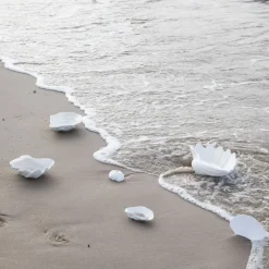 Shell schaal, 16 x 23 cm