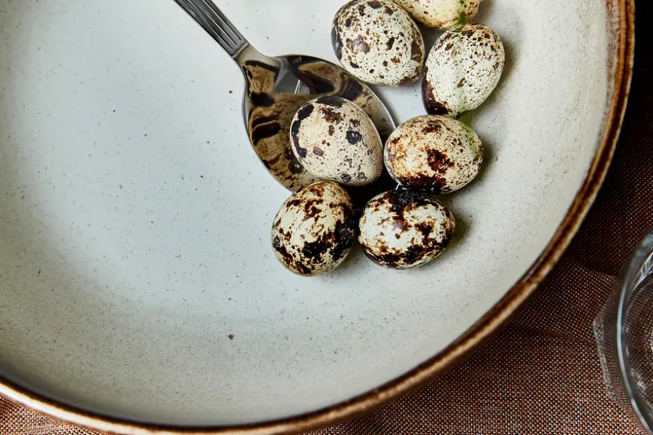 Søholm Sonja slakom Ø24 cm, Brown