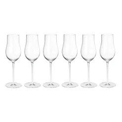 Sky champagneglas 25 cl 6-pack, Transparant