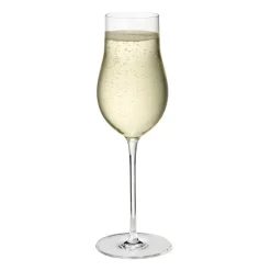 Sky champagneglas 25 cl 6-pack, Transparant
