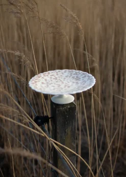 Slåpeblom taartschotel Ø21 cm, Roze