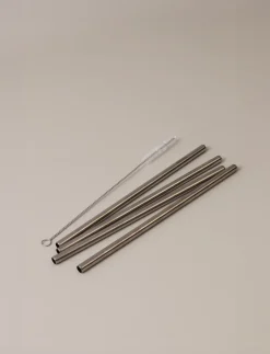 Stelton herbruikbare rietjes 4-pack, Steel