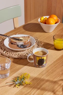 Stinky i farten Moominmok, Bruin