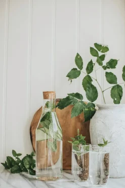 Sunnanö drinkglas 28 cl 4-pack, Helder